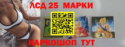 стаф Бийск