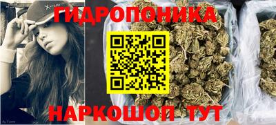 стаф Бийск