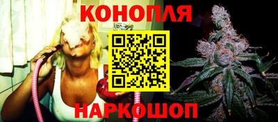 стаф Бийск
