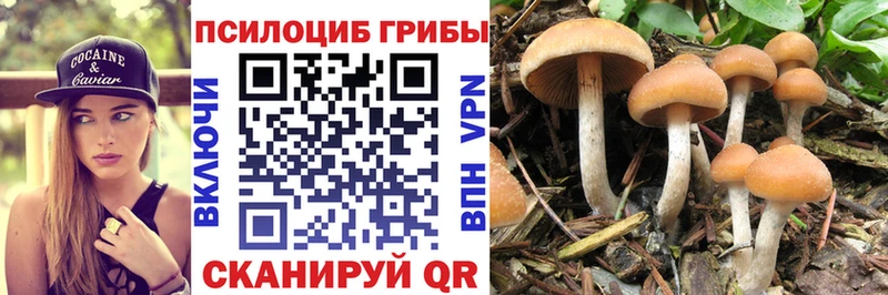 дарнет шоп  KRAKEN tor  Галлюциногенные грибы MAGIC MUSHROOMS  Верхняя Пышма 