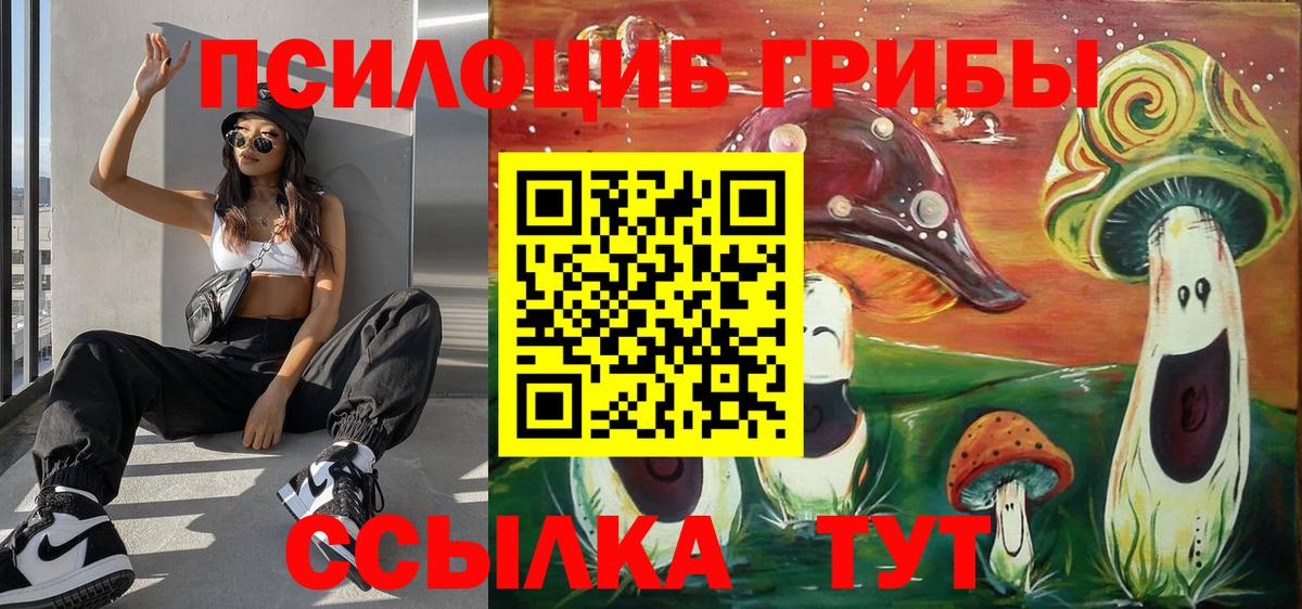 Галлюциногенные грибы Psilocybe  Верхняя Пышма  Псилоцибиновые грибы Cubensis 