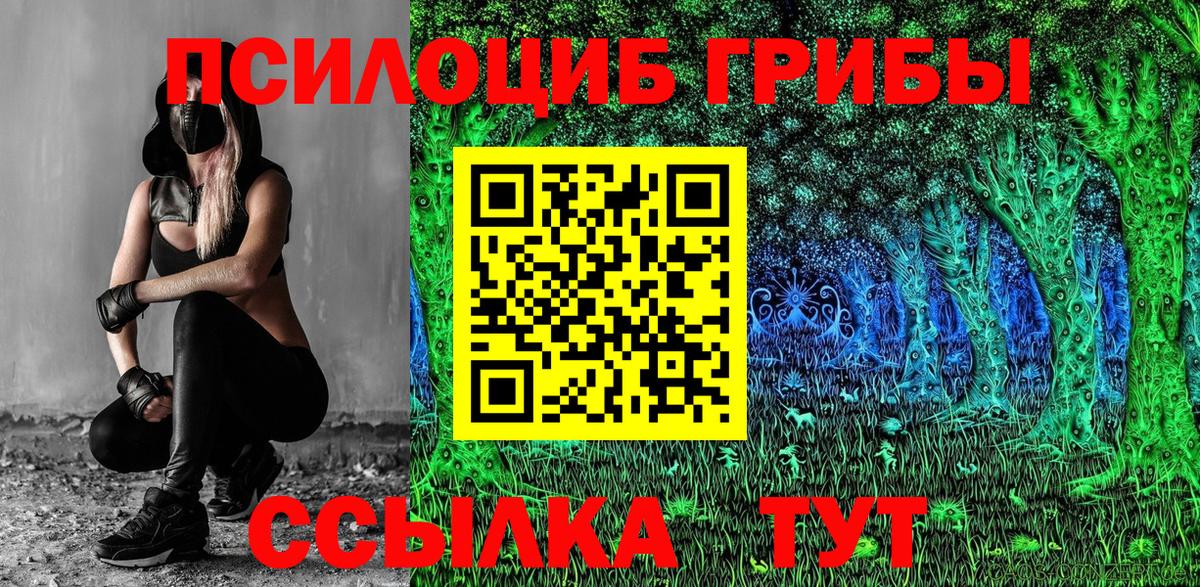 Галлюциногенные грибы прущие грибы Верхняя Пышма