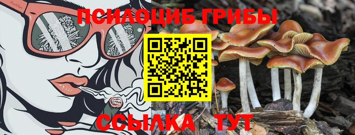 Псилоцибиновые грибы ЛСД  Псилоцибиновые грибы Cubensis  Вход с VPN  Верхняя Пышма 